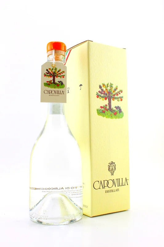 DistillateofApricotsVinschgau/ValVenosta43%vol.CapovillaDistillery