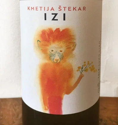 Izi2023–Stekar