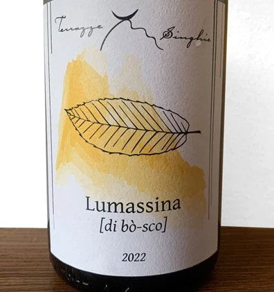 Lumassina2023CollineSavonesiIgt–TerrazzeSinghie