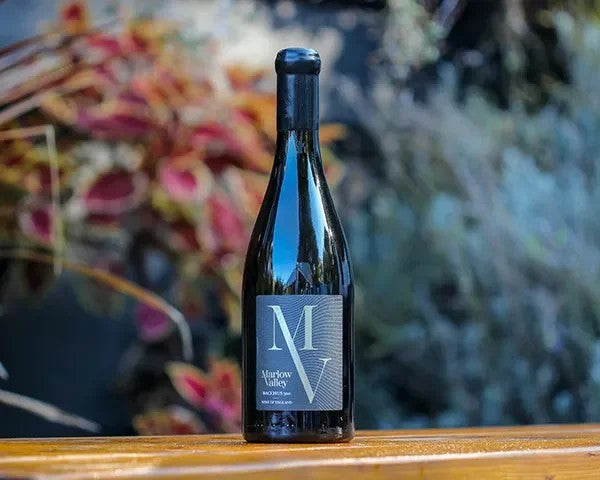 MarlowVineyardBacchus300