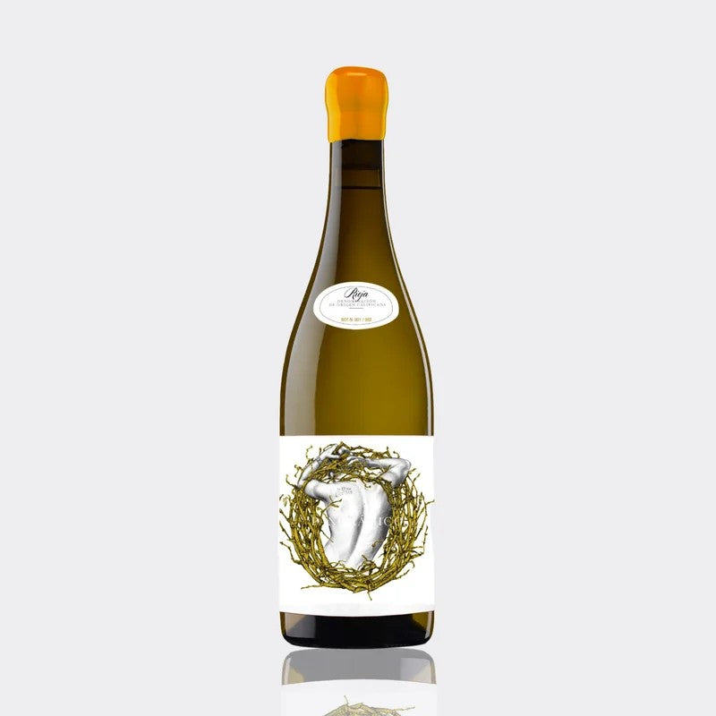 Panoramico“O”Blanco(Oxidised)