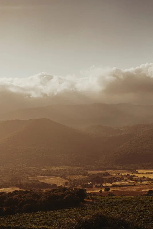 ParfortheCorse:ThefinewinesofCorsica