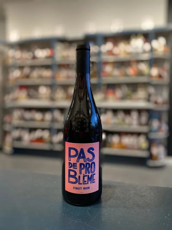 PASDEPROBLEMEPINOTNOIR,LOIREVALLEY,FRANCE2023
