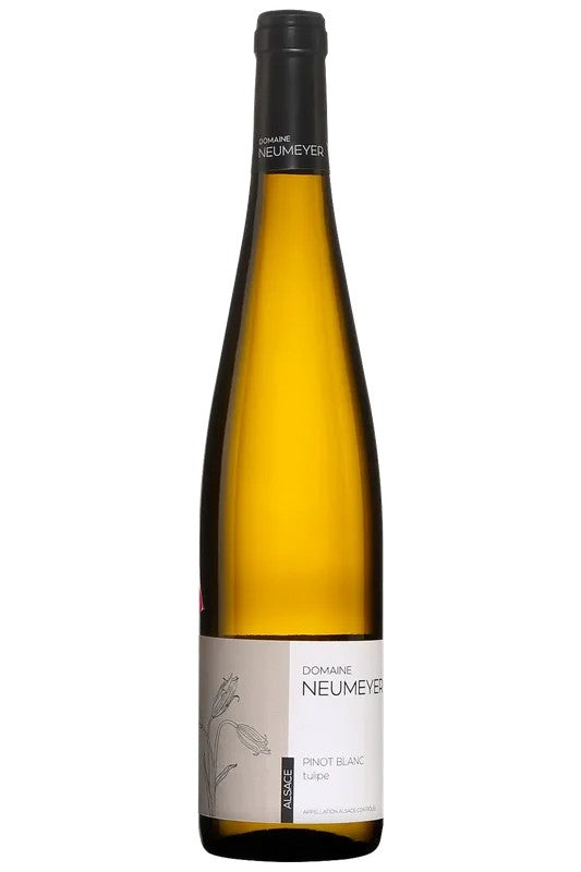 PinotblancTulipe2023