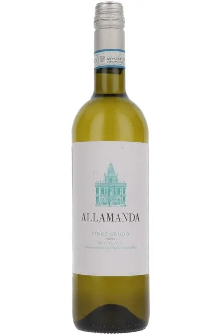 PinotGrigioAllamanda2024