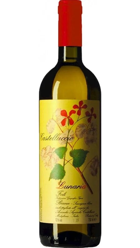 SauvignonBlancIGT–Lunaria–RonchidiCastelluccio