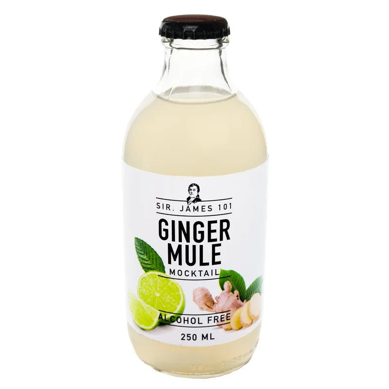 SirJames101GingerMule–AlcoholFreeMocktail