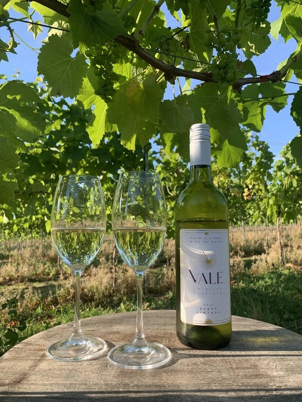 SolarisWhiteWine