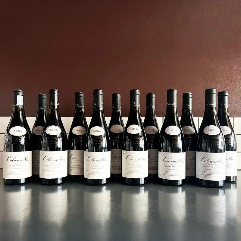 TheSadieFamily‘Columella’Retrospective:2004-2015
