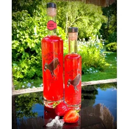 TwistedMuleEtonMessGin50cl(40%ABV)