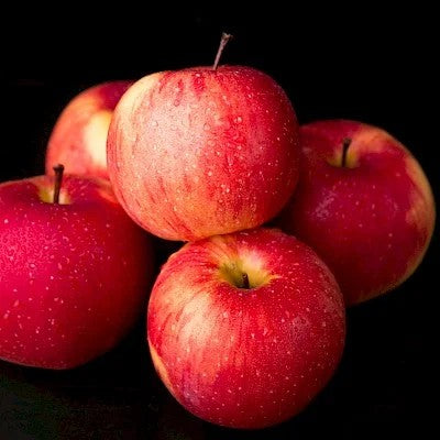 V.S.APPLE/KIWIX24NRBS